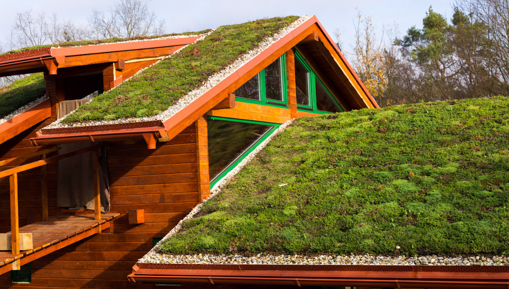 Opis drugiego zdjęcia